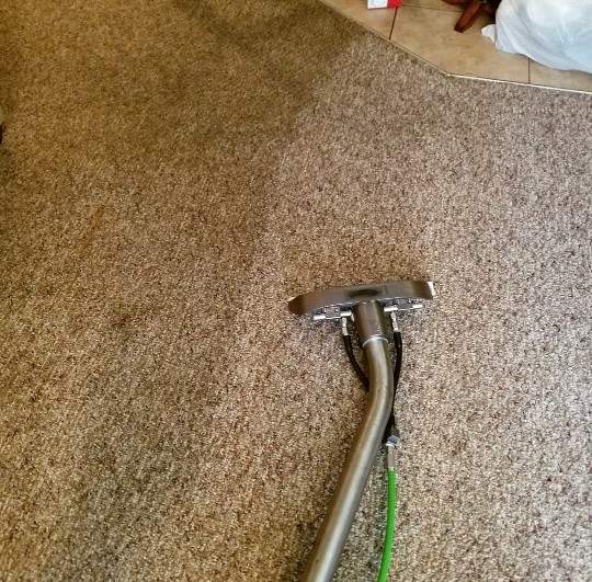 HHR Steemers Photo Gallery