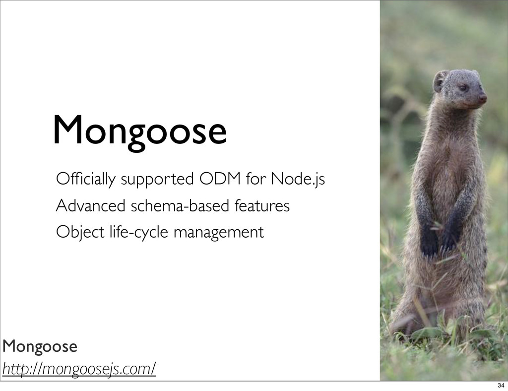 MongoDB and Mongoose Tutorial Speaker Deck