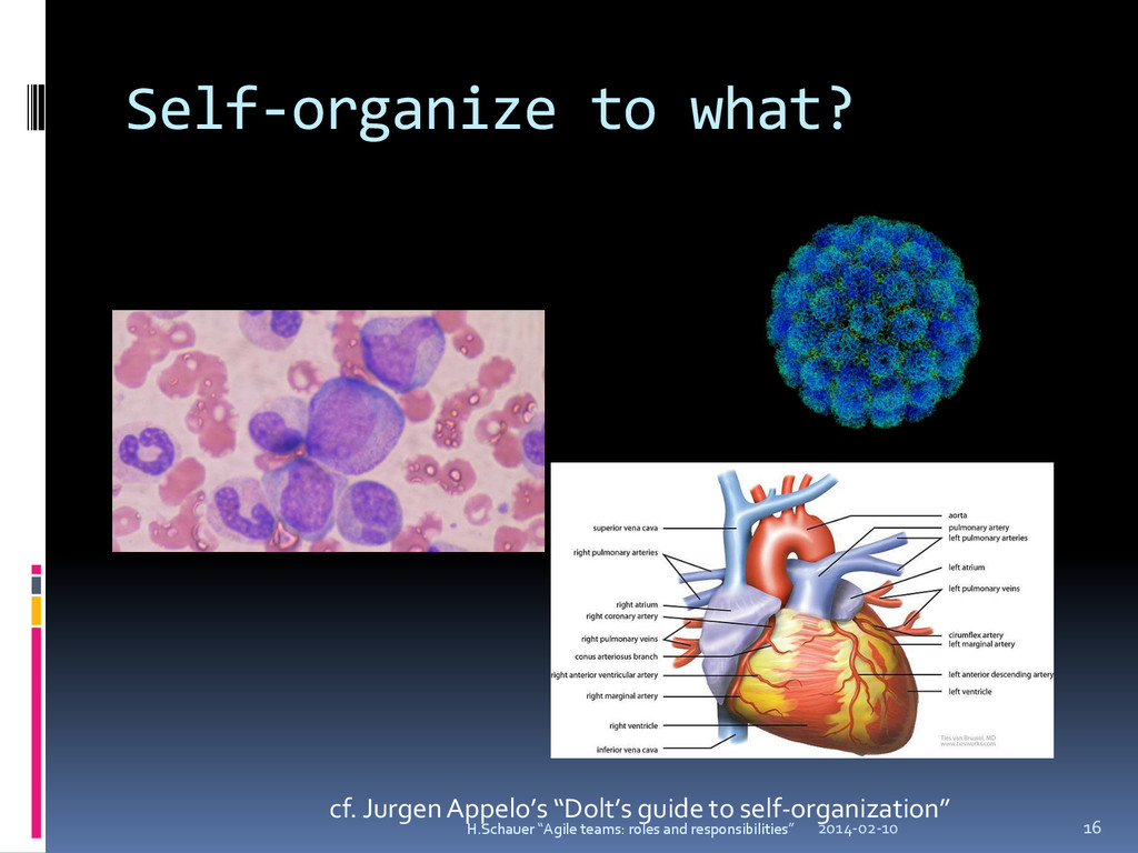 Agile teams roles and responsibilities Speaker Deck