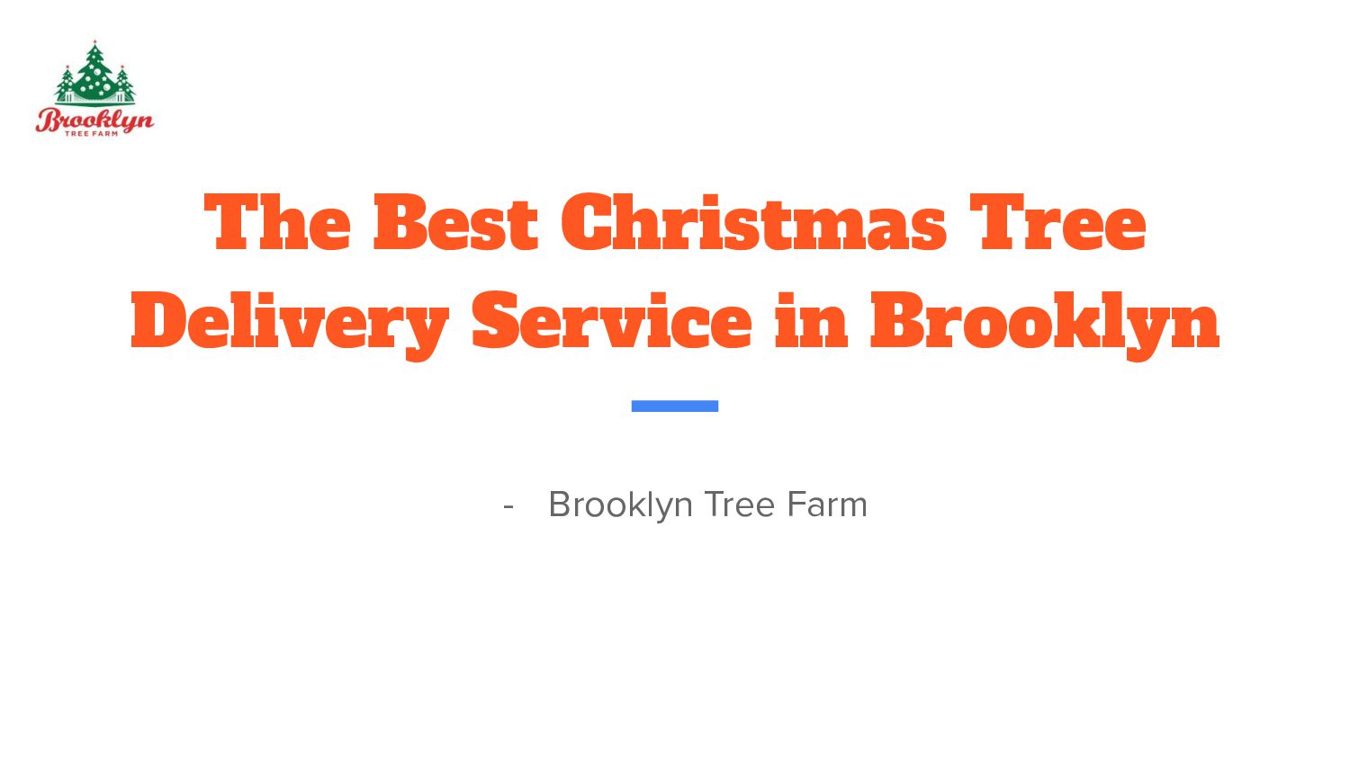 The Best Christmas Tree Delivery Service in Brooklyn Speaker Deck