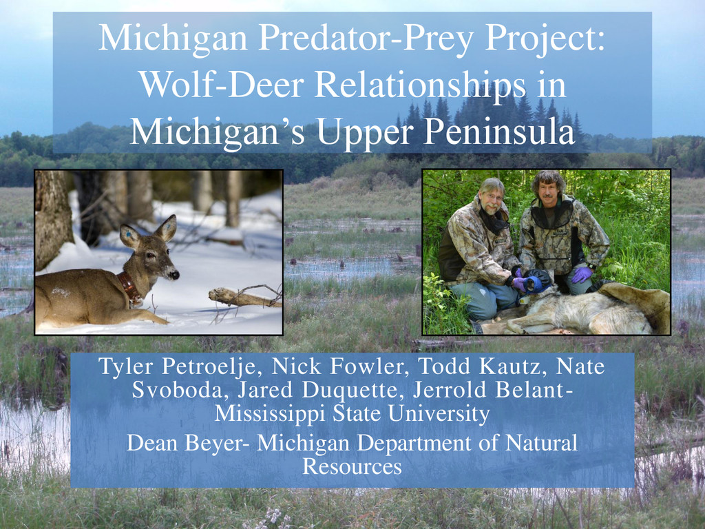 Michigan PredatorPrey Project Speaker Deck