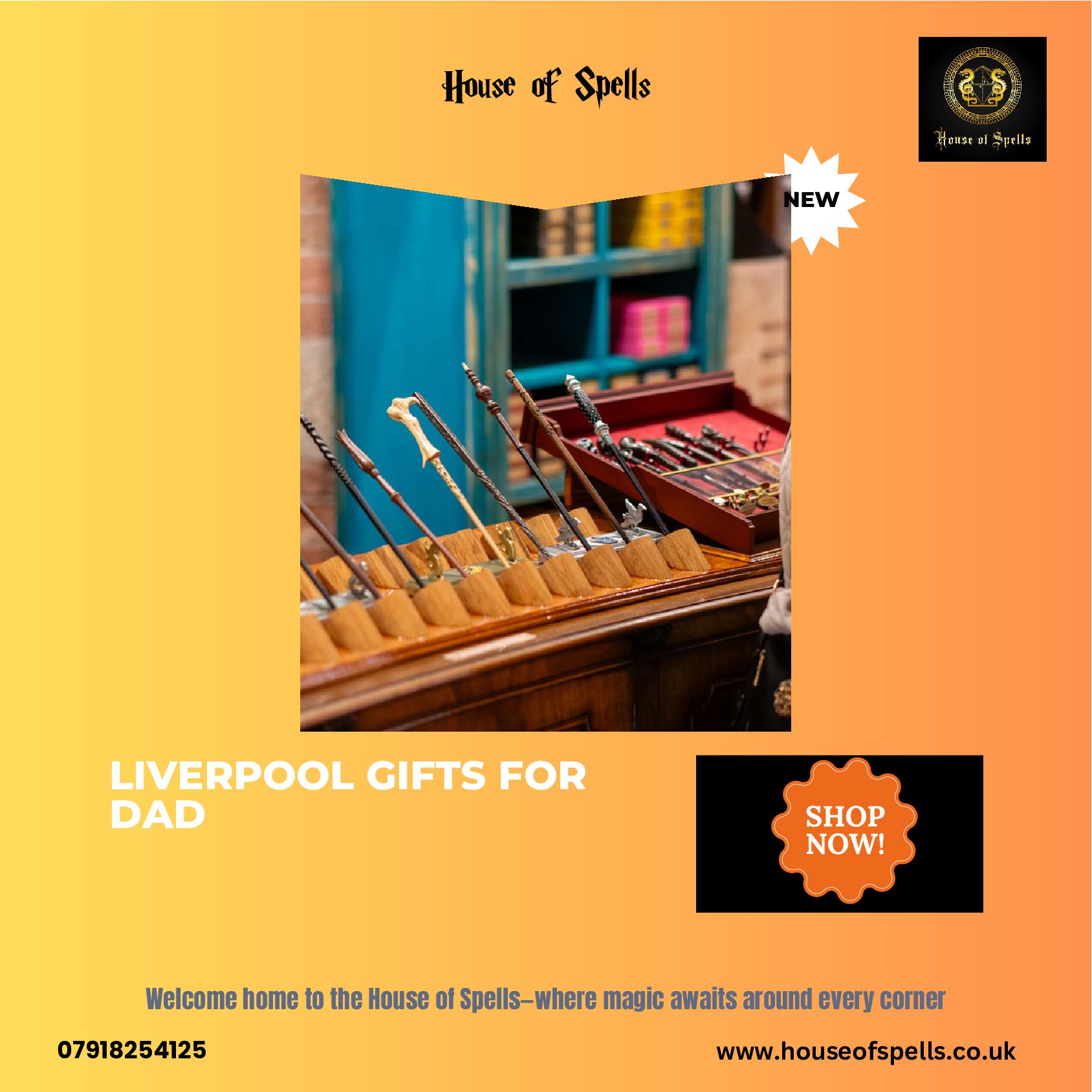 Liverpool Gifts for Dad House of Spells Speaker Deck