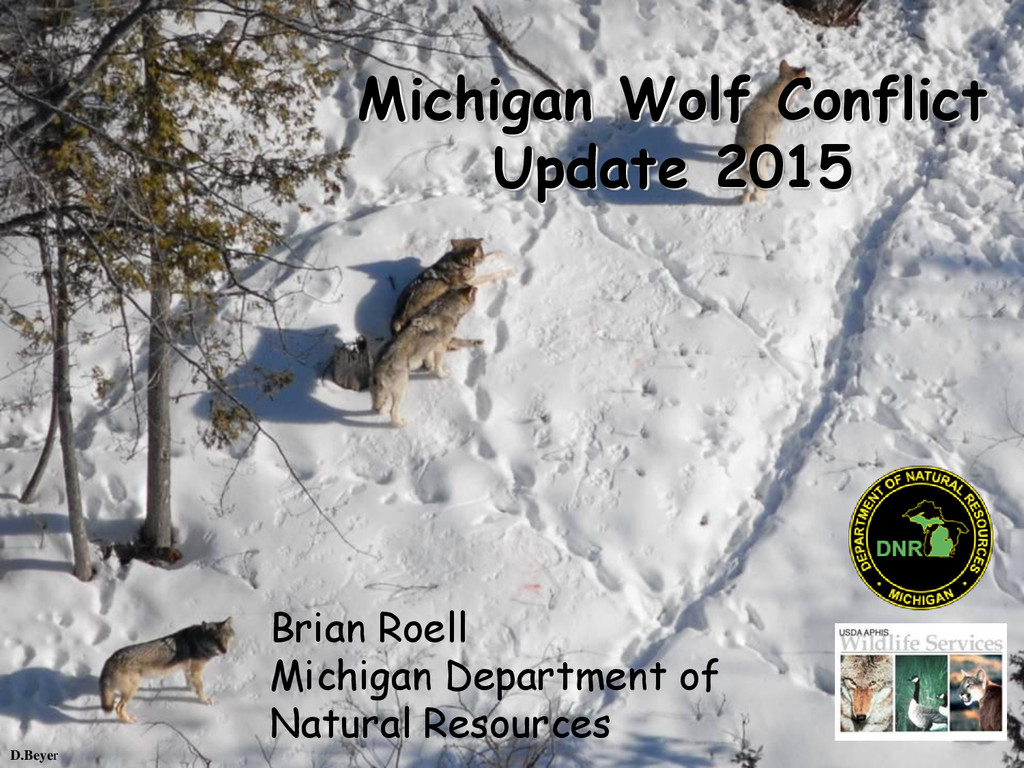 Michigan Wolf Conflict Update 2015 Speaker Deck