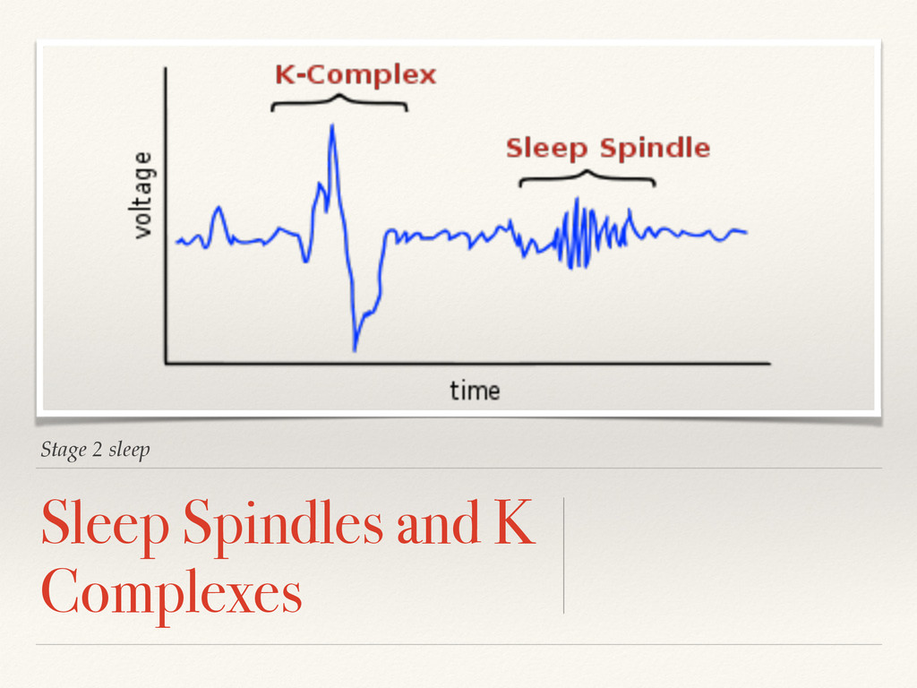 Introduction to neurobiology of sleep Speaker Deck