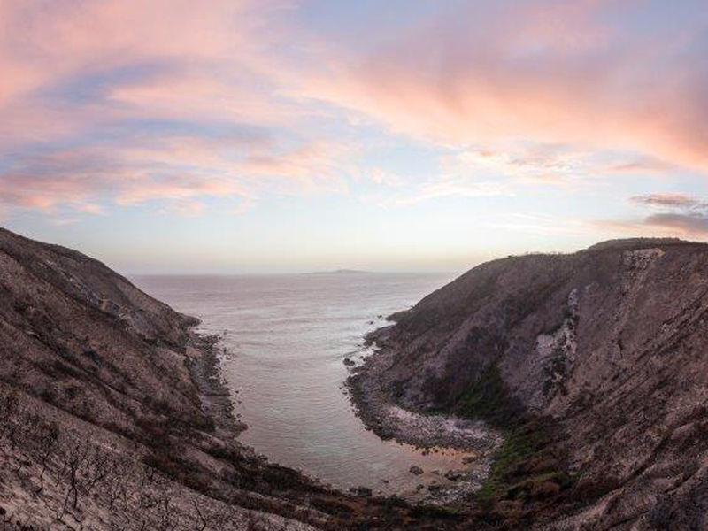 Property land lifestyle blocks for sale Albany real estate specialist