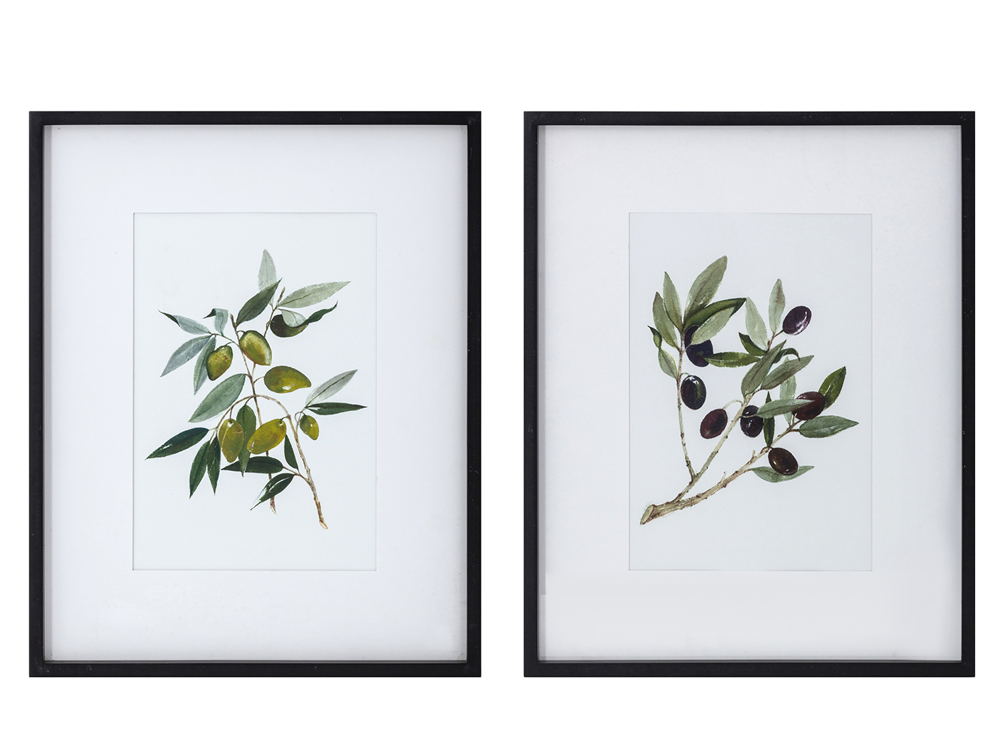 Assorted Olive Branch Framed Art Each 19"W x 24"H Steinhafels