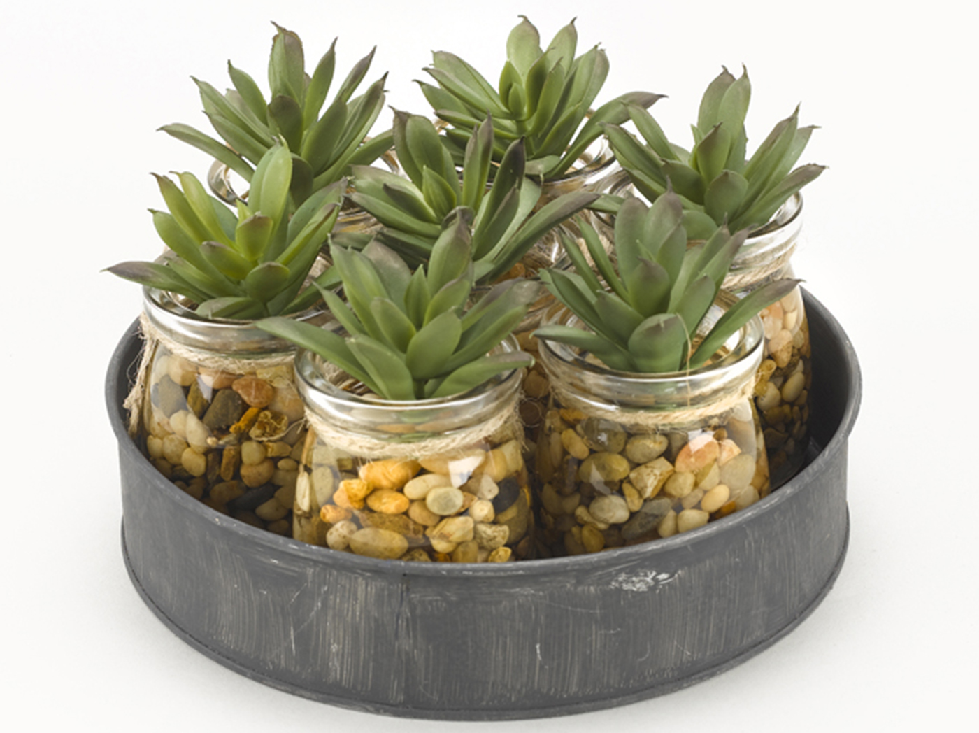 Mini Aloe Plants in Glass Jars on Metal Tray 8"W x 4.5"H Steinhafels