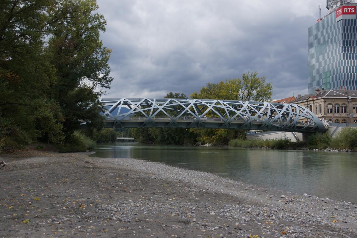 Hans Wilsdorf Brucke Genf 2012 Structurae