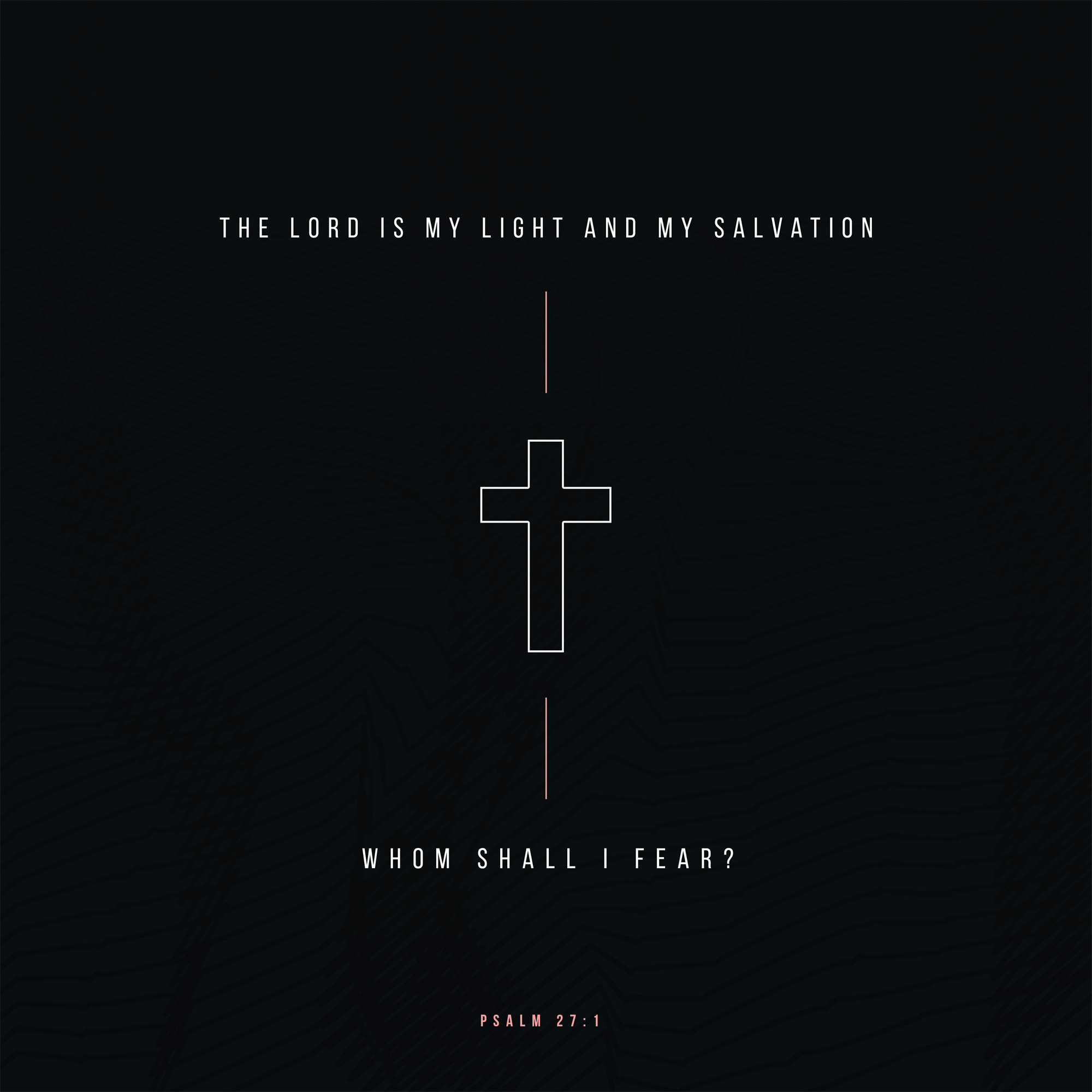 The LORD is my light and my salvation; whom shall I fear? Psalm 271