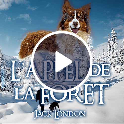 Découvrez la série audio L'appel de la forêt, Jack London Sybel