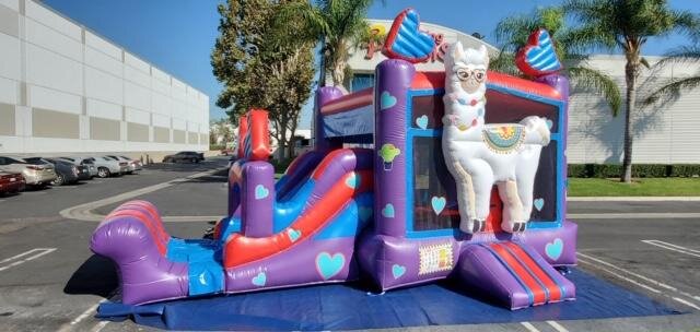 Bounce 2 It - bounce house rentals and slides for parties in Tallahassee