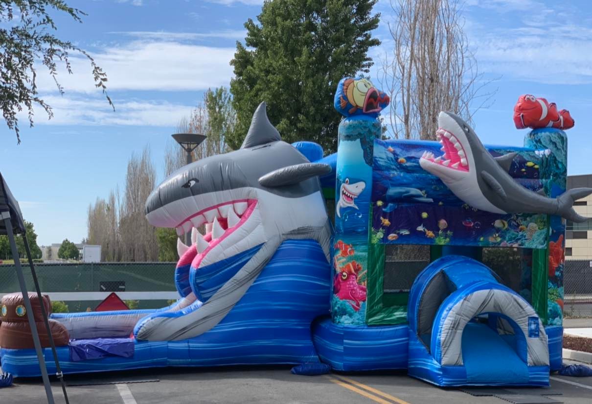 Bounce House & Jumper Rentals Hill, CA Funjump408