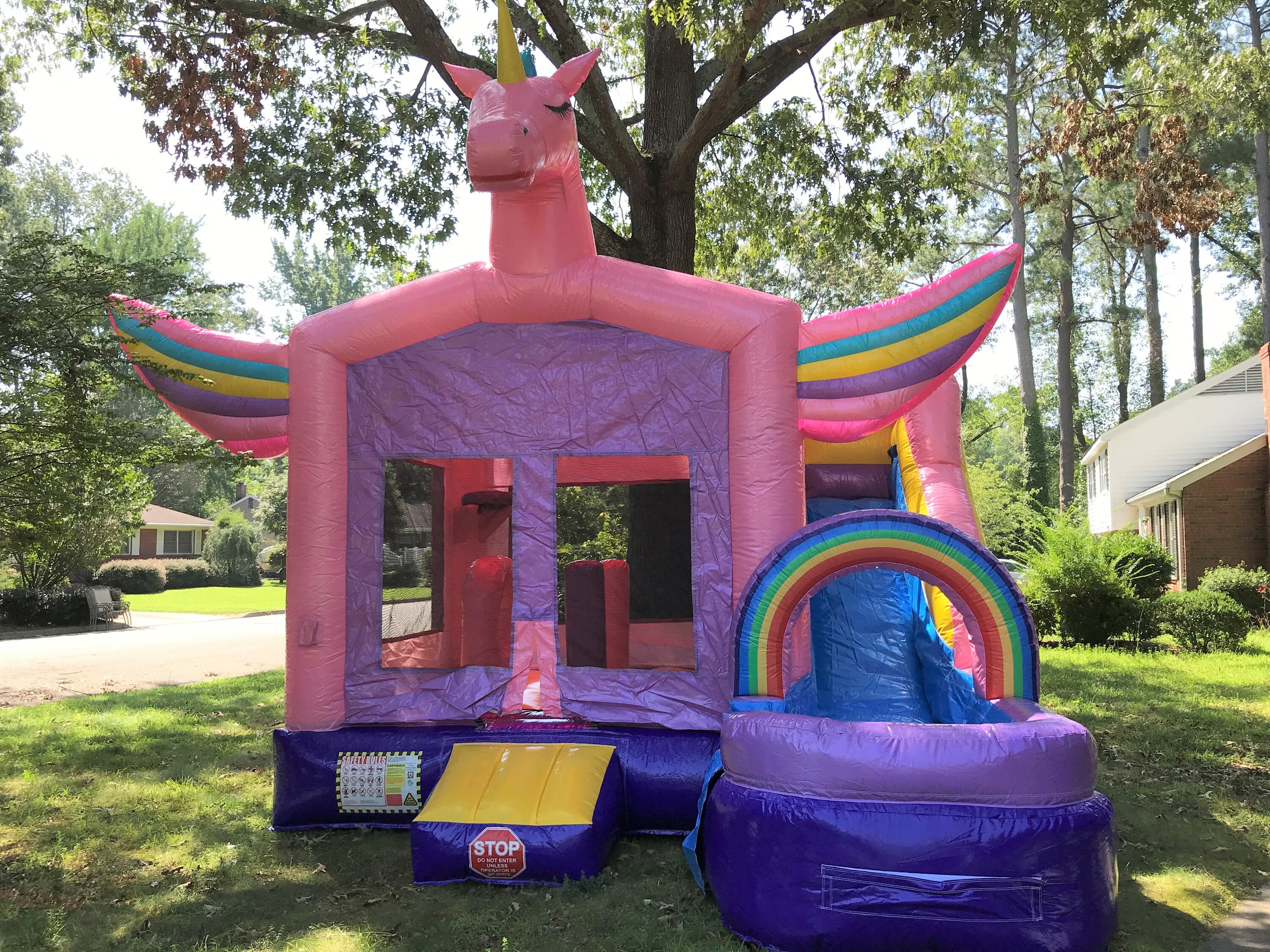 Unicorn Combo Bounce House Rental Norfolk, Virginia Beach, Suffolk