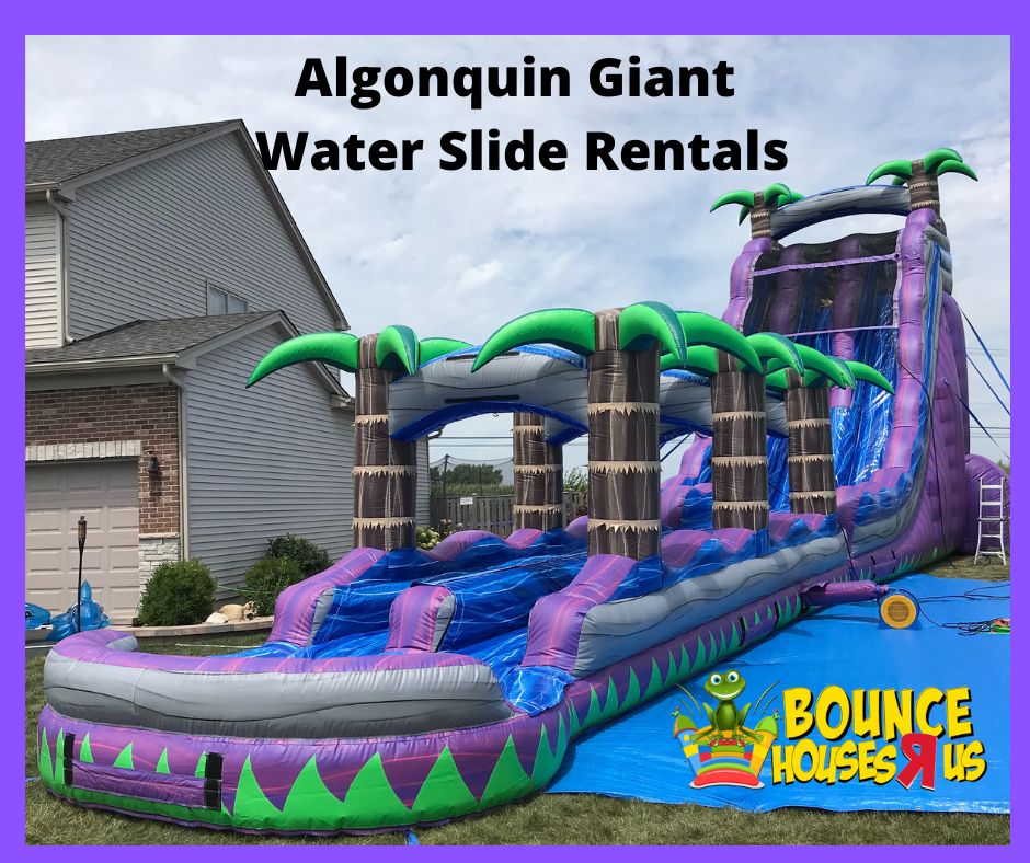 Water Slide Rentals Algonquin Bounce Houses R Us