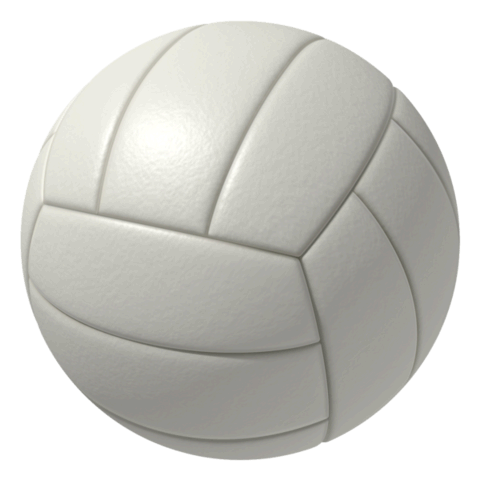 Volley Ball Rental | SacJumps | inflatable rentals in Elk Grove, CA