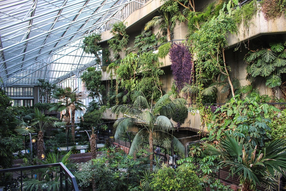 From Conservatory Concerts To An Indoor Rainforest London’s Gardens