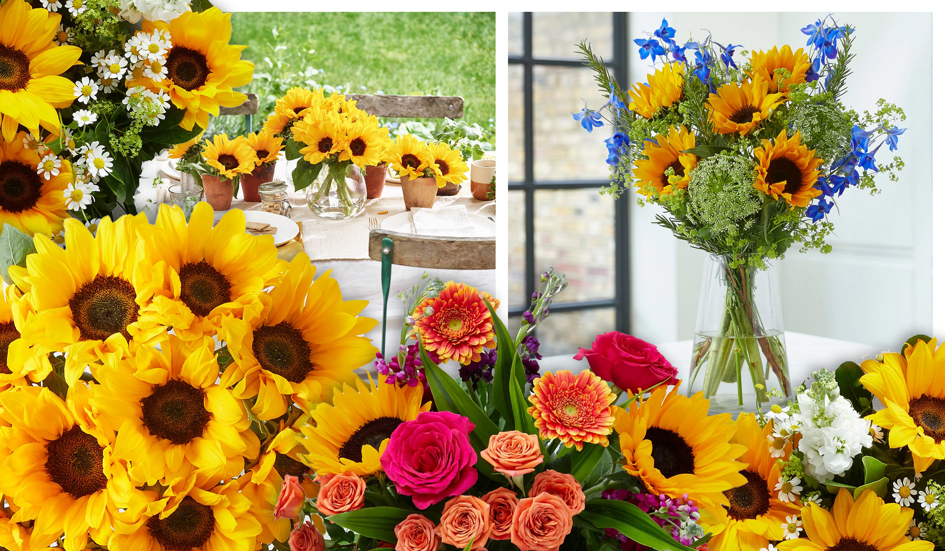 It's Sunflower Season Why We Love Summer's Happiest Flower The Handbook