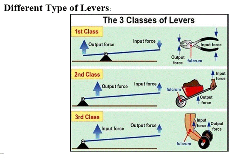 (Solved) The Fulcrum is the fixed point of the lever, the pivot