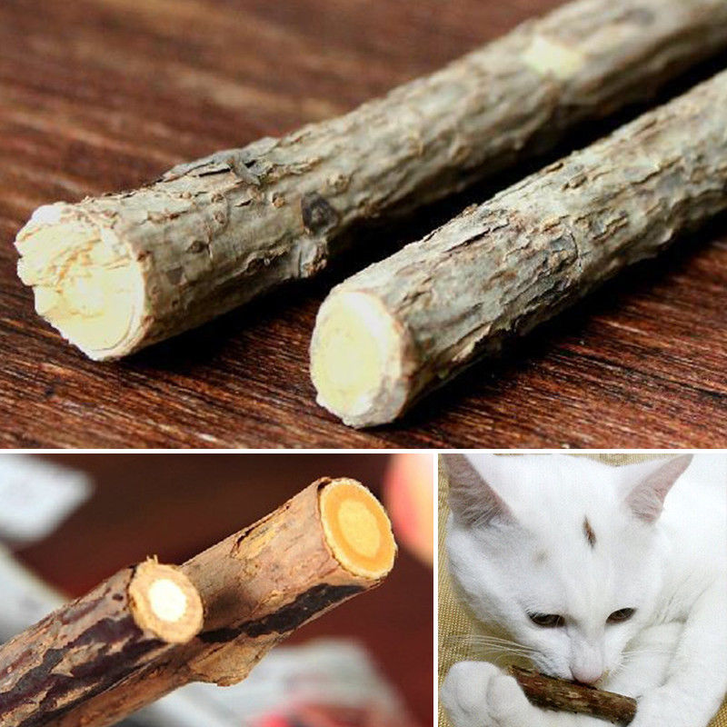 Rare Japanese Matatabi Chew / Play Sticks x 5 for cats