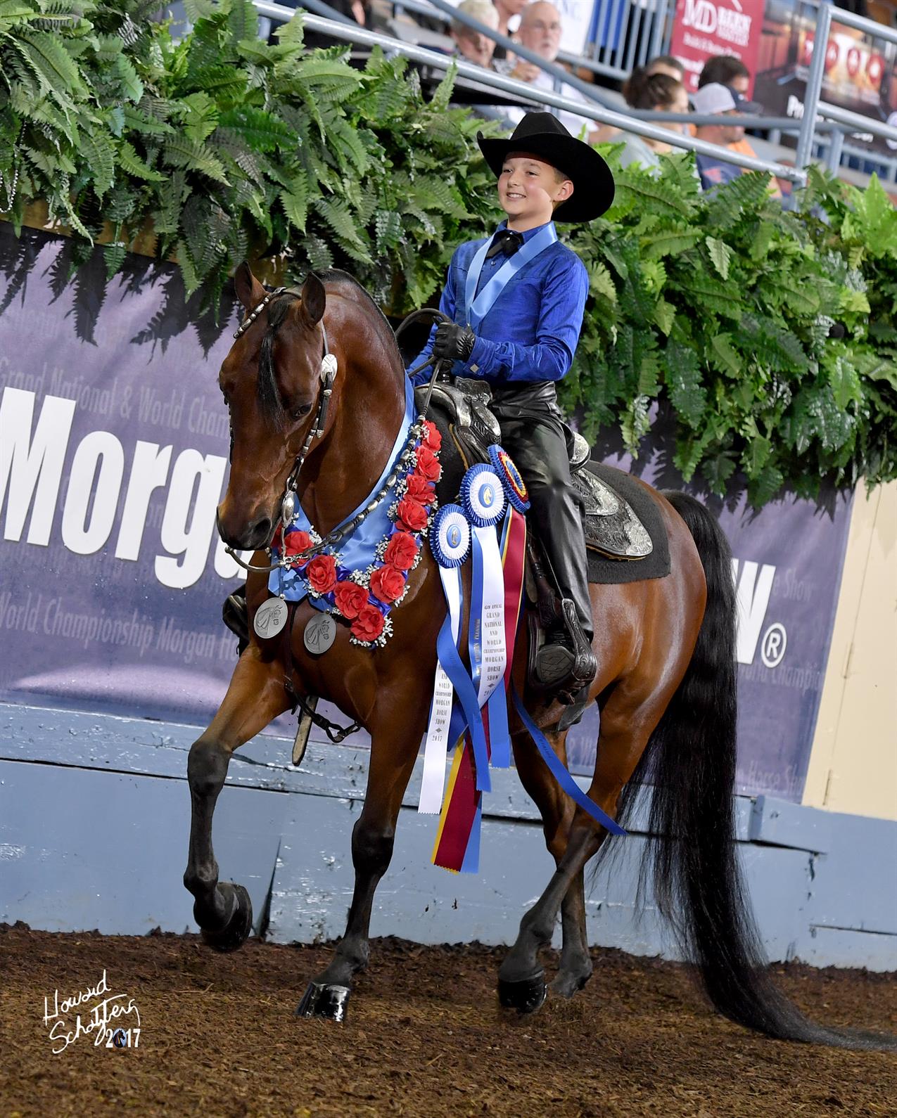 Horse Breed Celebrated In Oklahoma City US Equestrian