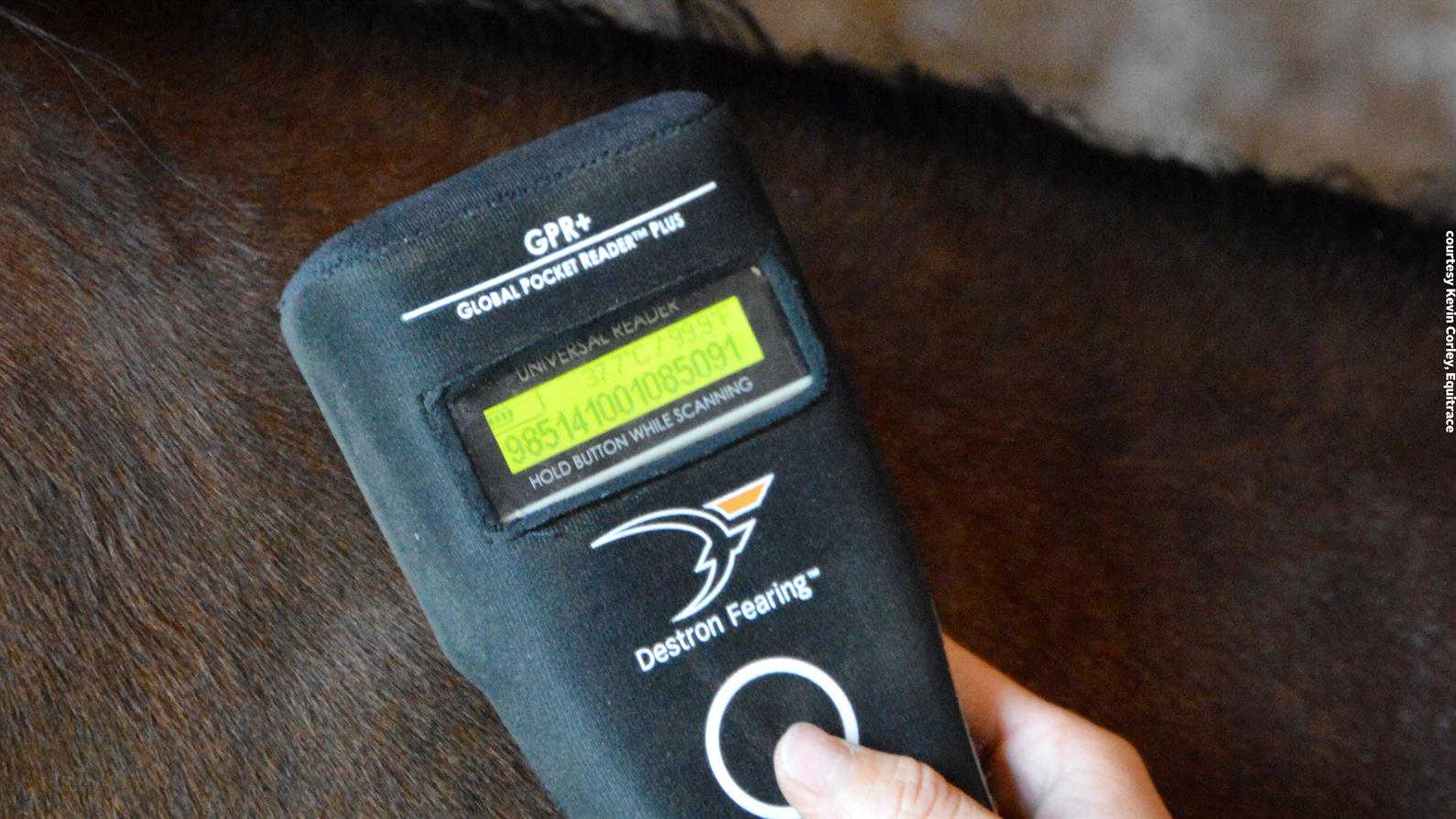 US Equestrian Introduces Microchip Rule for Equine Health and Safety