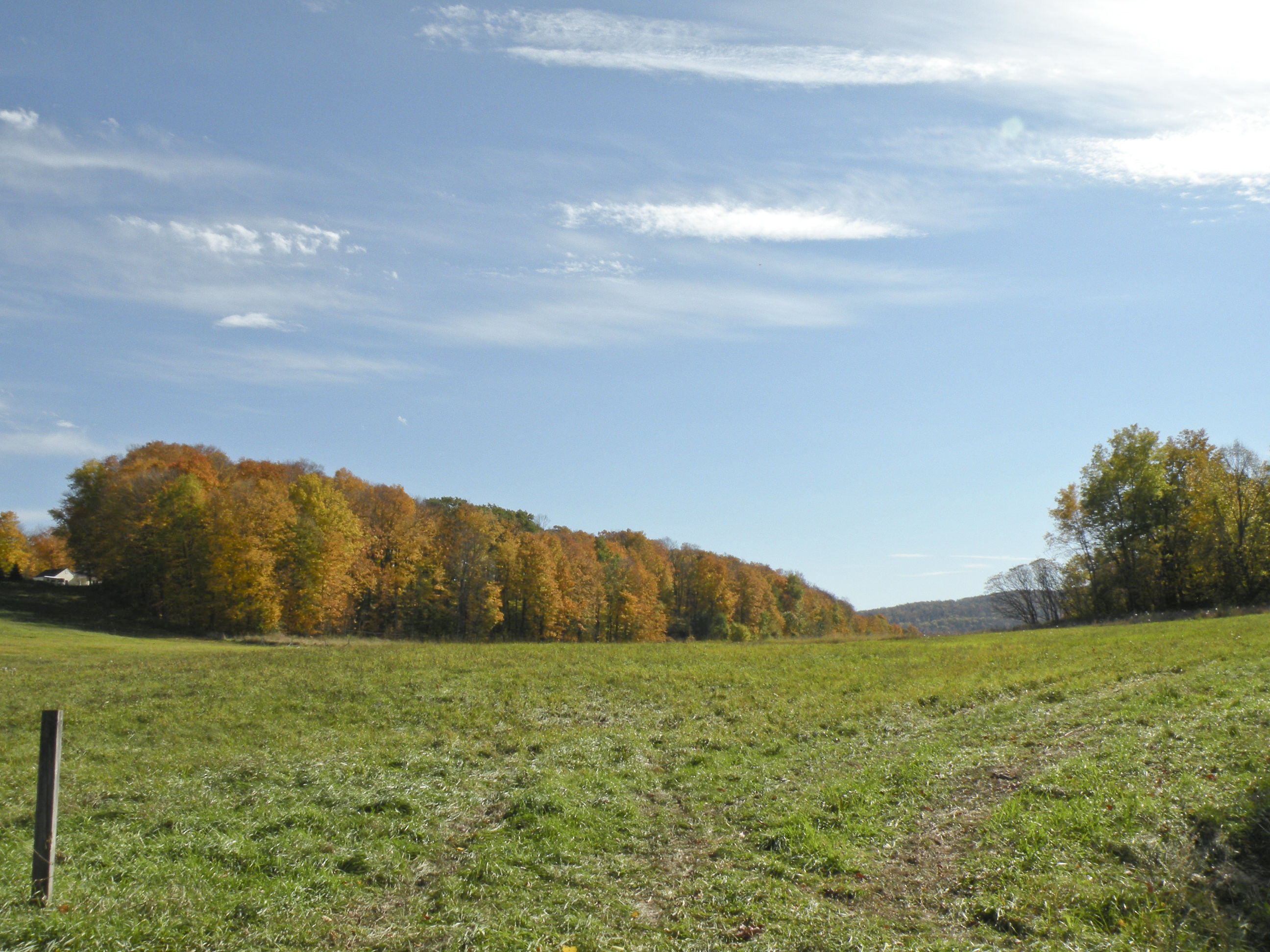 Town of Milton VT Information Geri Reilly Real Estate