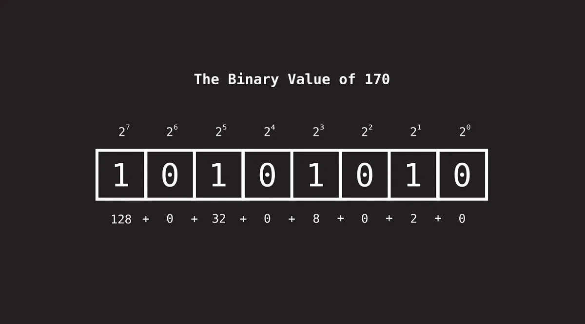 کار با صفر و یک‌های دنیای کامپیوتر و انواع دیتا تایپ در گولنگ اموزش مقدماتی تا پیشرفته گولنگ