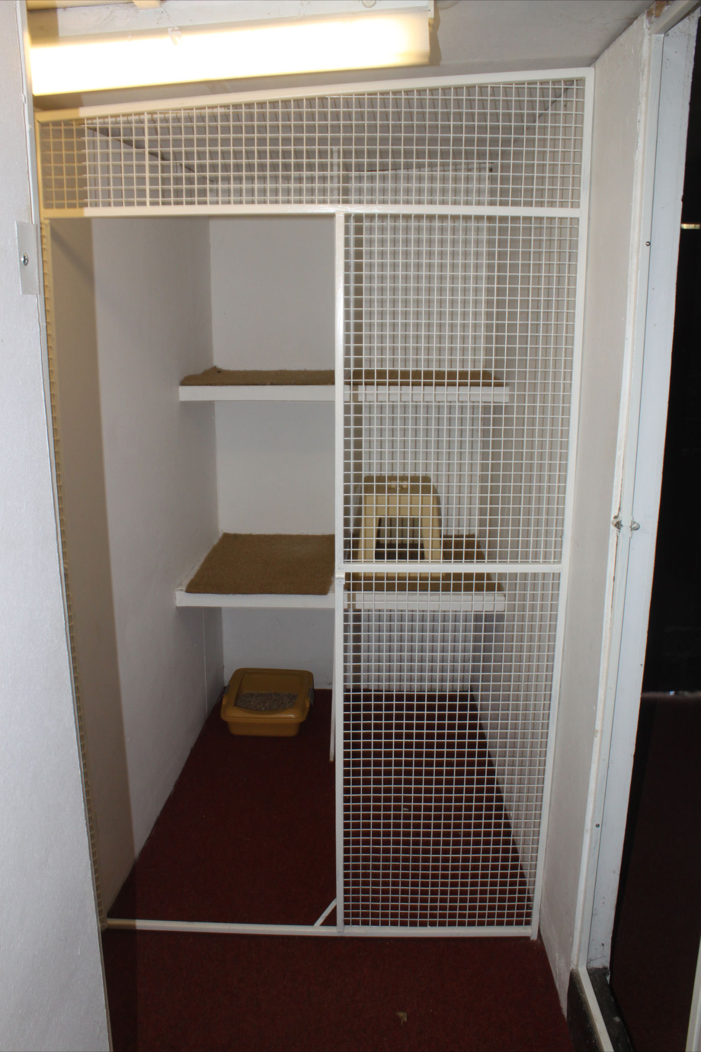 Anston Kennels and Cattery