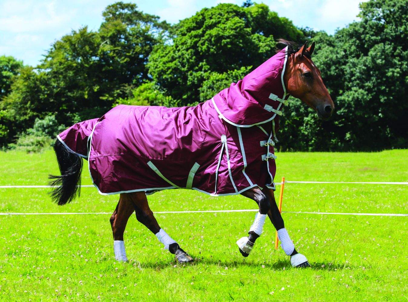 Guardian Equestrian turnout rugs which prevent escapes with electric