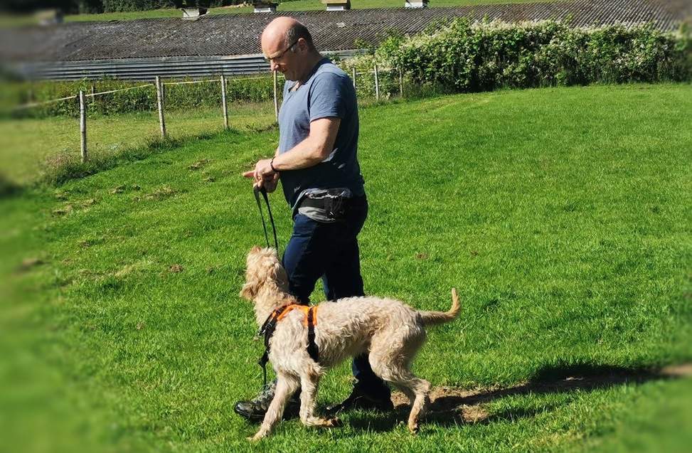 Dog Training, Puppy Classes and Canine Behaviour Help