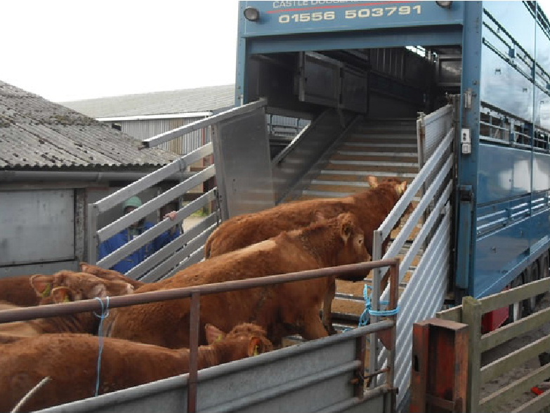 Livestock and General Haulage Contractors UK MacTaggart Bros Castle