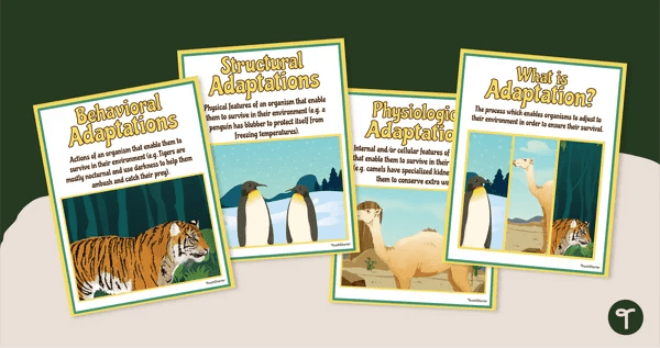 Animal Adaptations and Traits Teaching Resources | Teach Starter