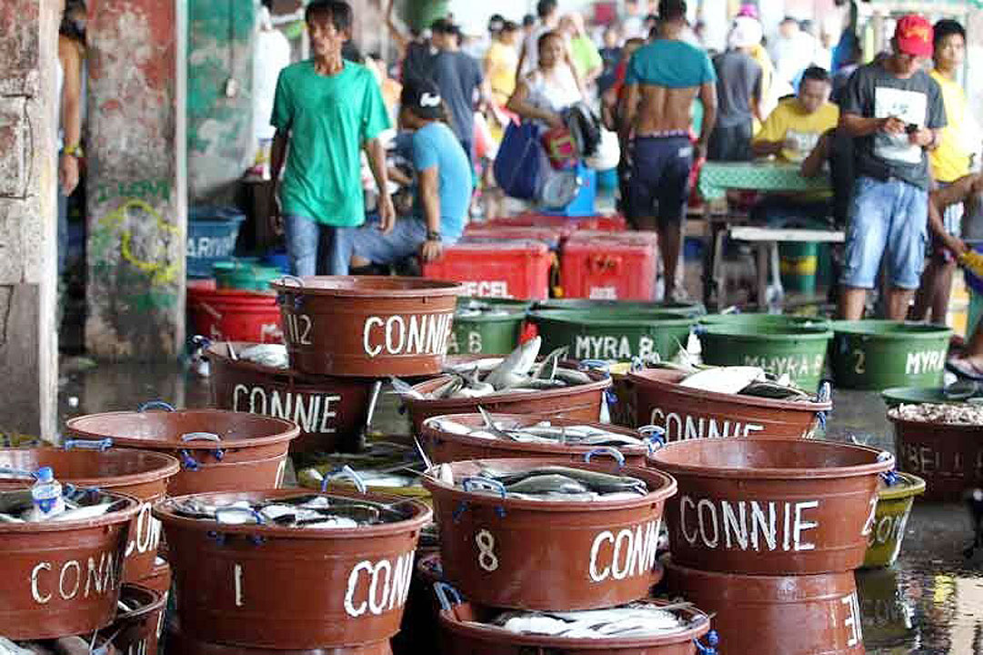 Volumes landed at fish ports rise despite typhoons — PFDA Filipino Live