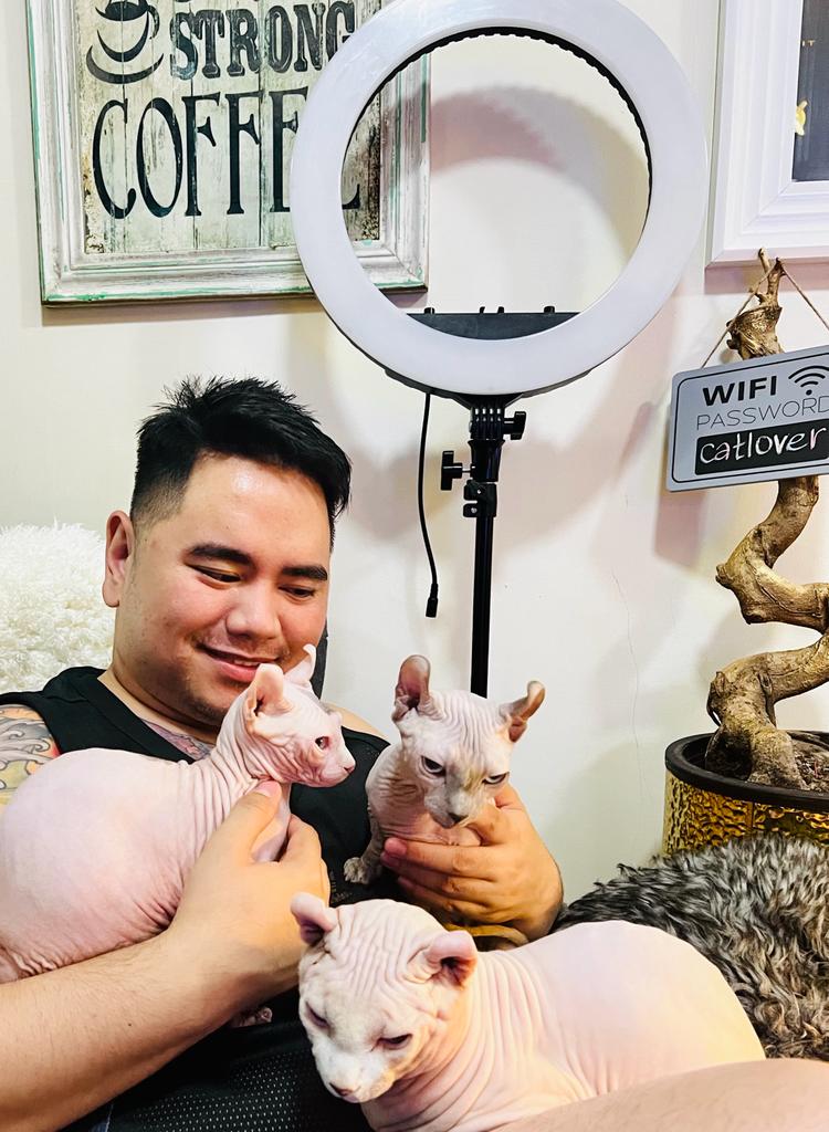 Sphynx cats Perfect companion for OFWs for its beauty, independence