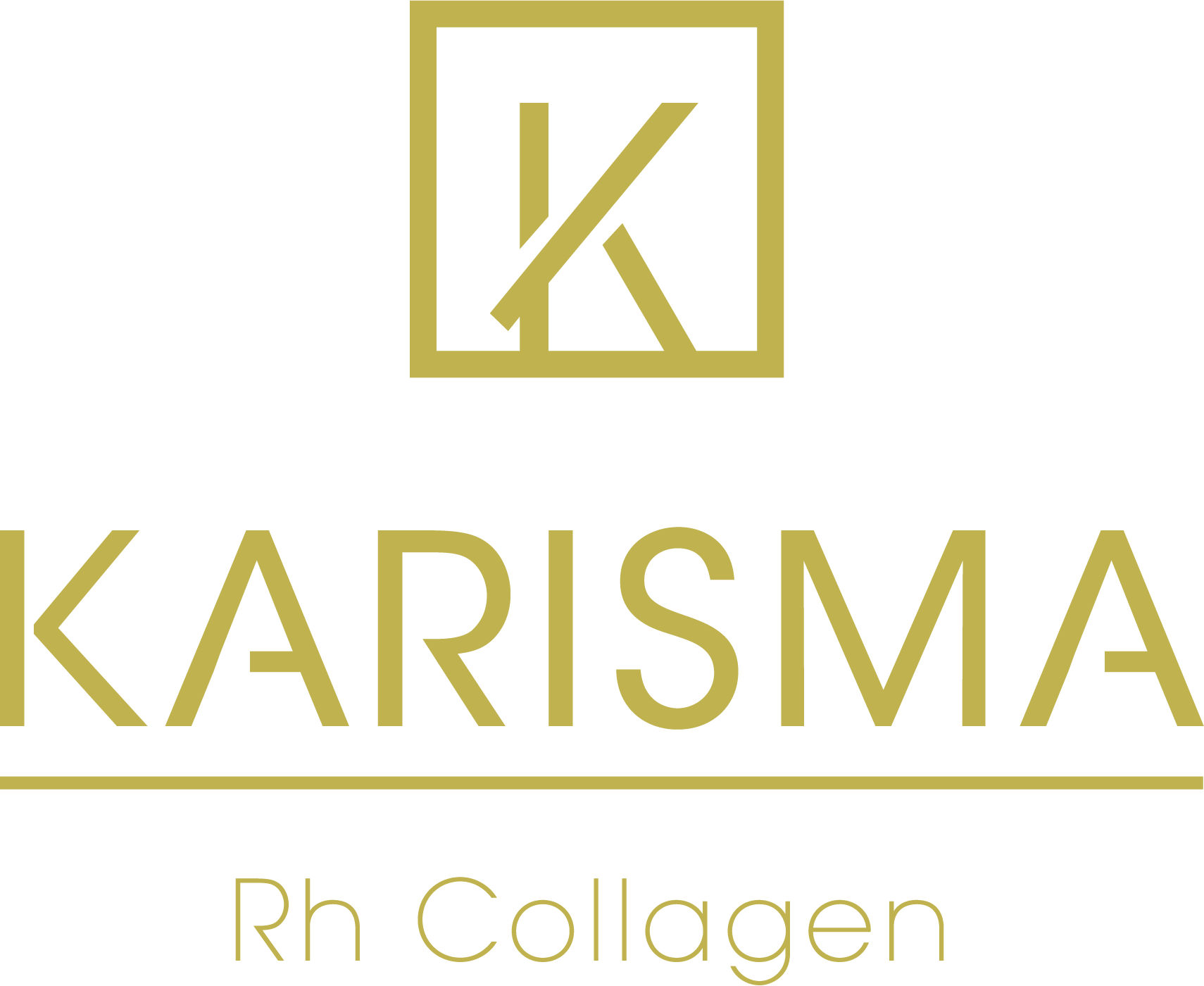 Karisma Rh Collagen Biostimulator Filladerm