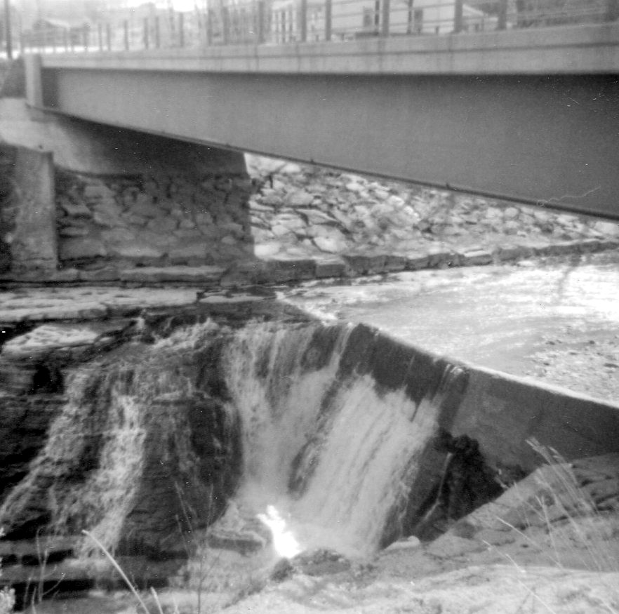 14 Wide Awake Club Library