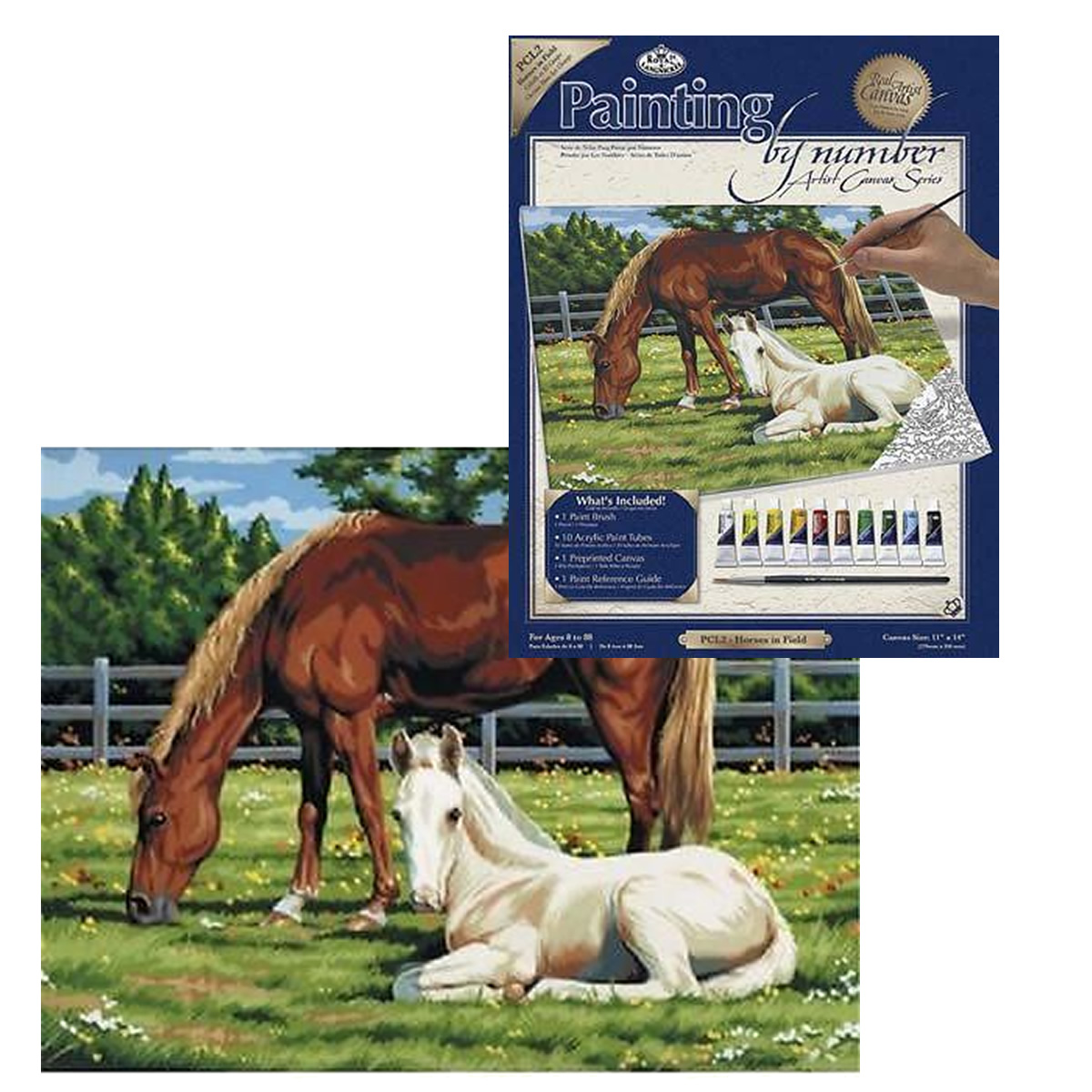Painting by Numbers Horses in a Field Canvas Filly and Co