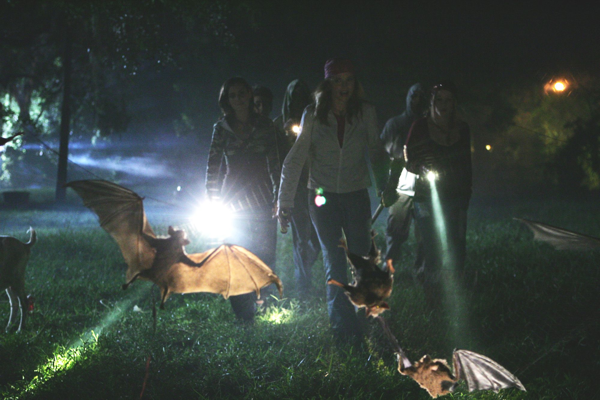 Vampire Bats (2005) Film Blitz