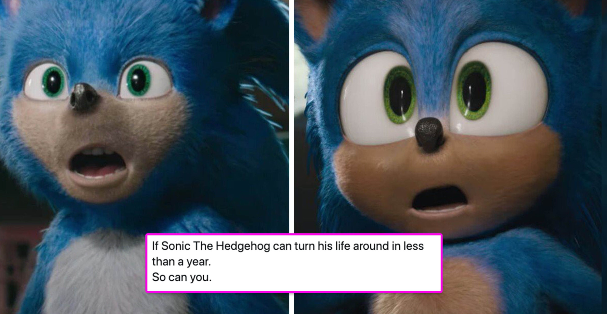 Gotta go fast! Rush towards the best Sonic memes online