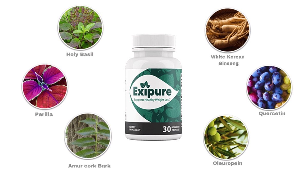 Exipure Reviews Ripoff Reports or Real Exipure Weight Loss Pills