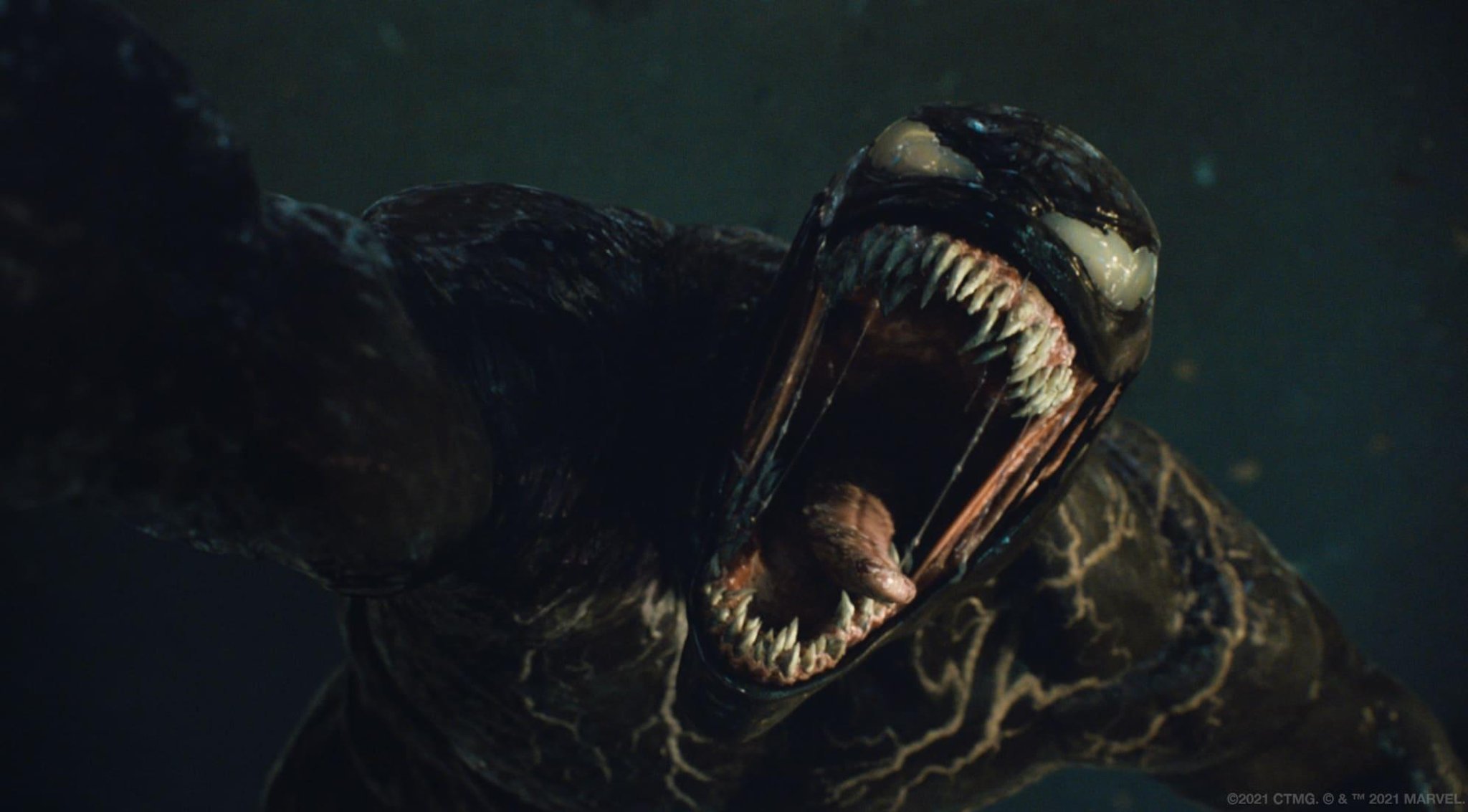 Venom 2 free streaming online where to watch at home Film Daily