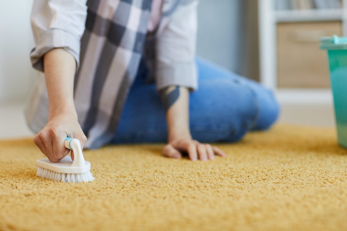 Some Guidelines for Hiring Affordable Professional Carpet Cleaners for