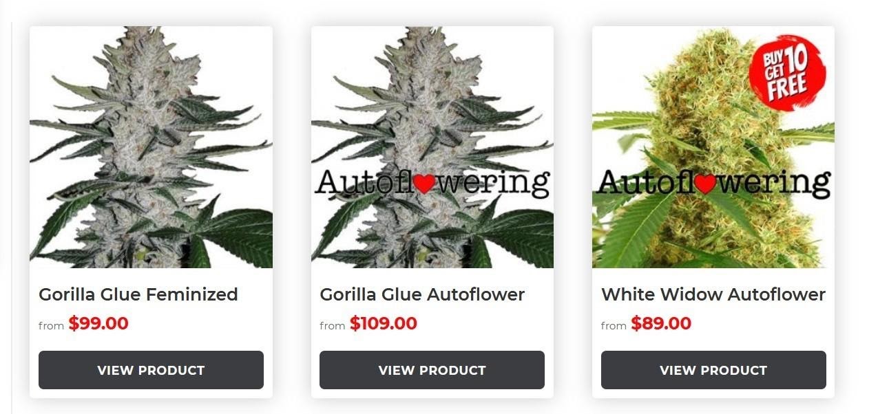 ILGM Coupon Code, Promos, Deals! [Save ] Film Daily