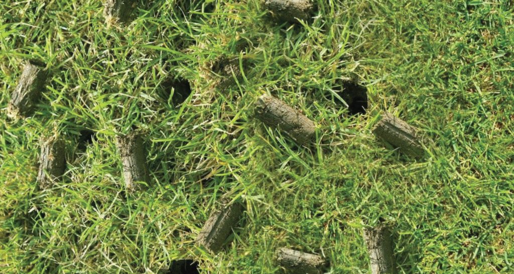 Unveiling the Best Lawn Aeration Services for a Vibrant and Healthy