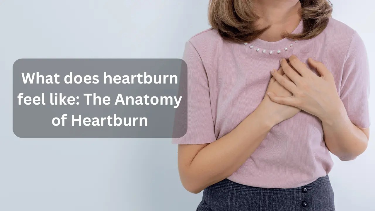 What does heartburn feel like The Anatomy of Heartburn