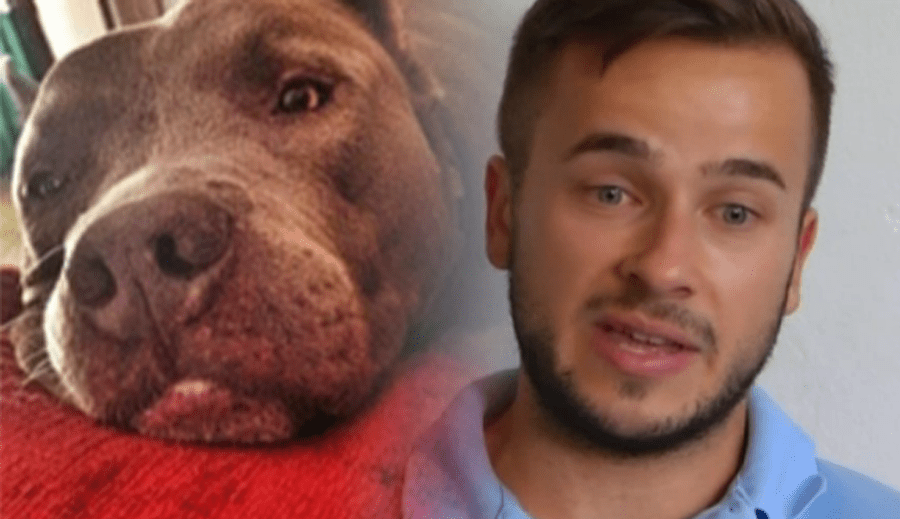 Man Heartbroken After Cop Shoots Service Dog in the Head Dog Helped
