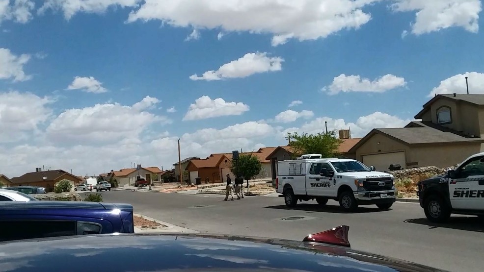 El Paso Country Sheriff's Deputy Shoots NonAggressive Dog Filming Cops