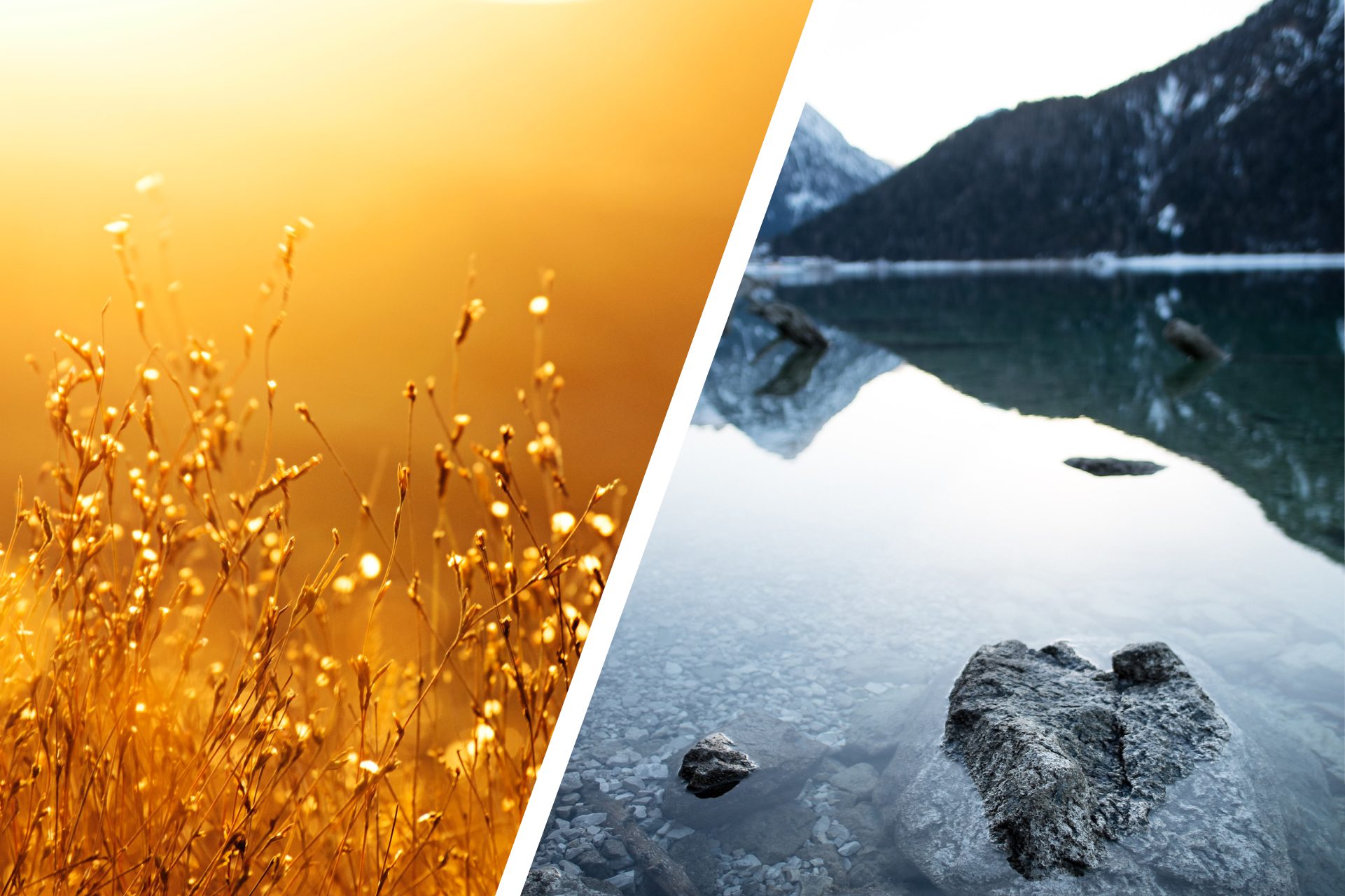 What Is Color Temperature? Definition, Examples & Why It's Important