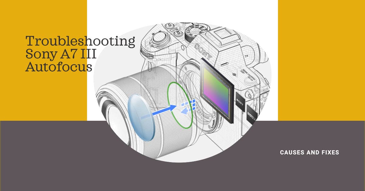 Sony a7 III Autofocus Not Working Causes and How to Fix It