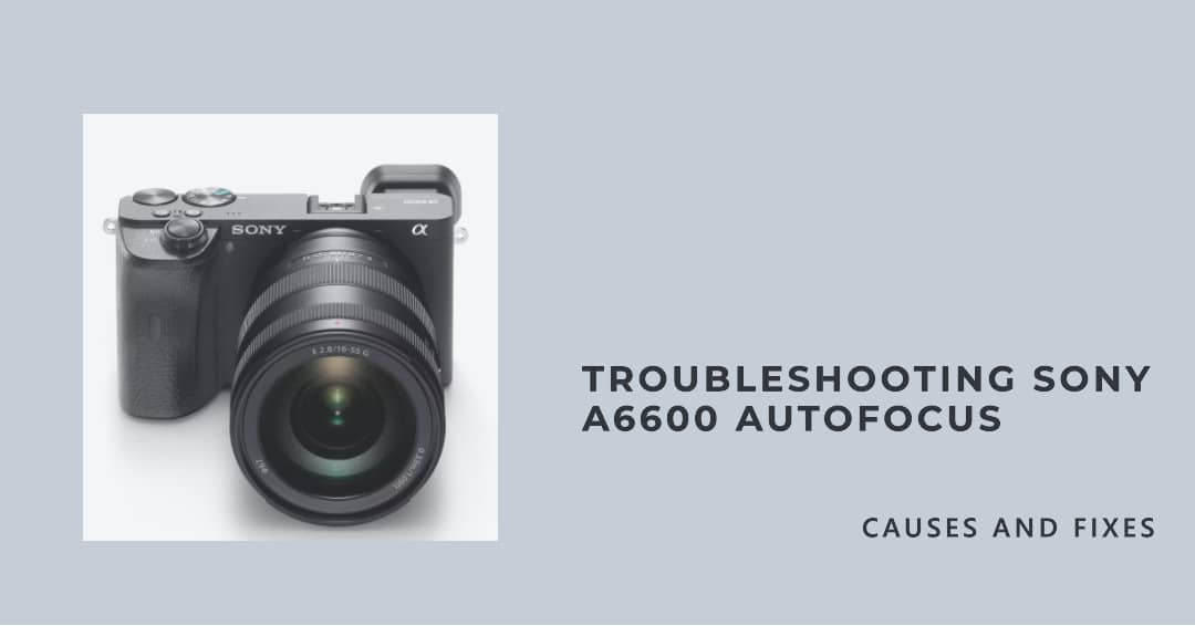 Sony a6600 Autofocus Not Working Causes and How to Fix It Filmmaking